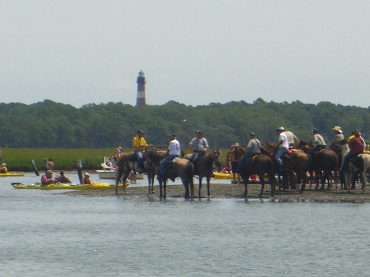 Chincoteague Pony Swim July 2007 072.JPG